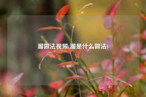 溜做法视频(溜是什么做法)