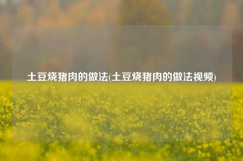 土豆烧猪肉的做法(土豆烧猪肉的做法视频)
