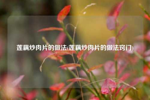 莲藕炒肉片的做法(莲藕炒肉片的做法窍门)