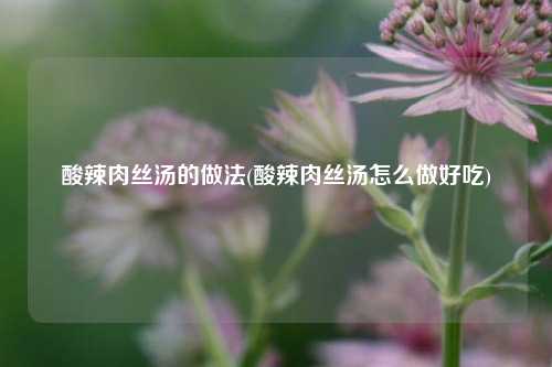 酸辣肉丝汤的做法(酸辣肉丝汤怎么做好吃)