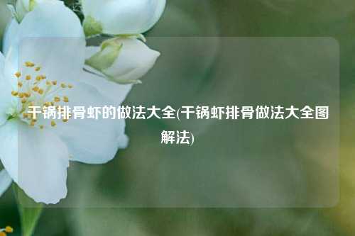 干锅排骨虾的做法大全(干锅虾排骨做法大全图解法)