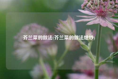 芥兰菜的做法(芥兰菜的做法炝炒)