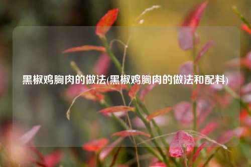 黑椒鸡胸肉的做法(黑椒鸡胸肉的做法和配料)