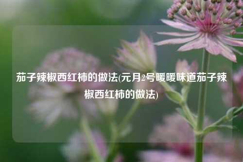 茄子辣椒西红柿的做法(元月2号暖暖味道茄子辣椒西红柿的做法)