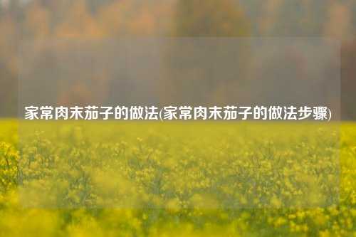 家常肉末茄子的做法(家常肉末茄子的做法步骤)