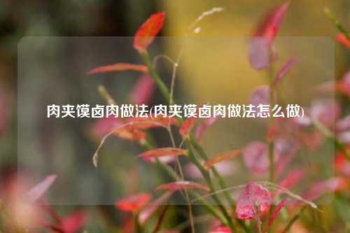 肉夹馍卤肉做法(肉夹馍卤肉做法怎么做)