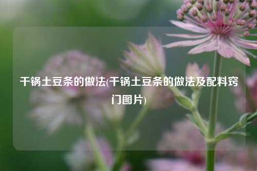 干锅土豆条的做法(干锅土豆条的做法及配料窍门图片)