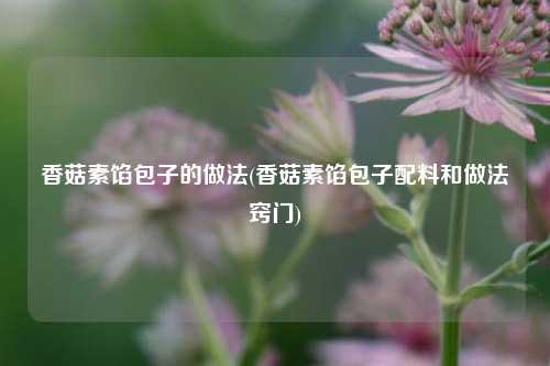 香菇素馅包子的做法(香菇素馅包子配料和做法窍门)