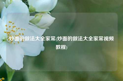 炒面的做法大全家常(炒面的做法大全家常视频教程)