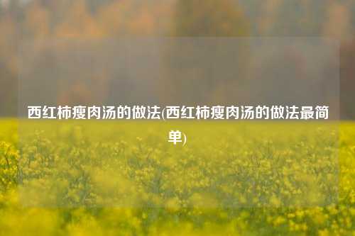 西红柿瘦肉汤的做法(西红柿瘦肉汤的做法最简单)