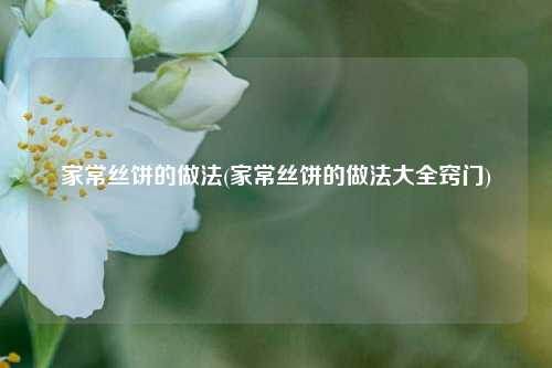 家常丝饼的做法(家常丝饼的做法大全窍门)