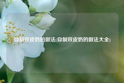 自制双皮奶的做法(自制双皮奶的做法大全)