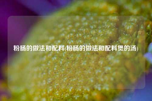 粉肠的做法和配料(粉肠的做法和配料煲的汤)