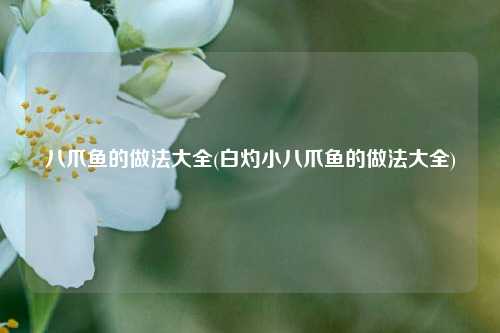 八爪鱼的做法大全(白灼小八爪鱼的做法大全)