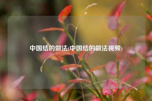 中国结的做法(中国结的做法视频)